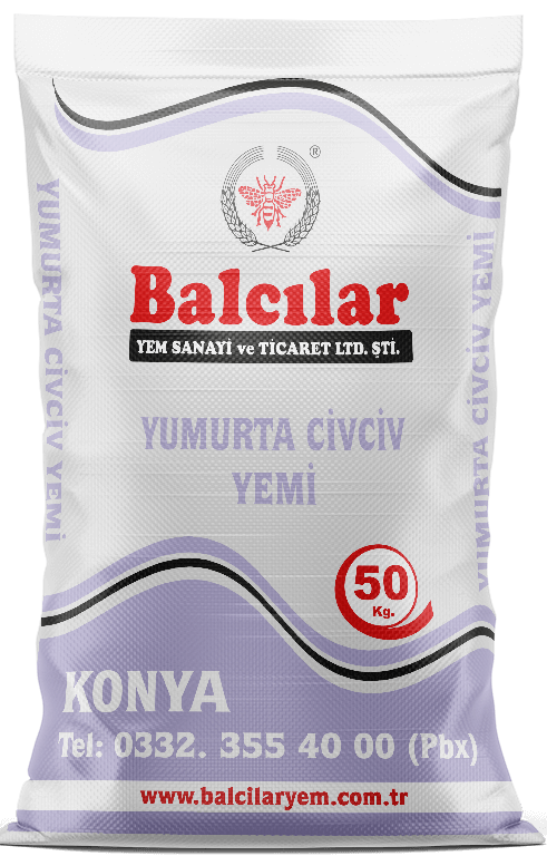Yumurta Civciv Yemi